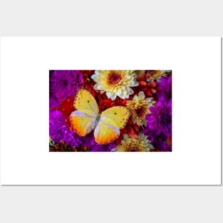 Exotic Yellow Butterfly On Poms Posters and Art